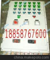 【供應(yīng)防爆配電箱BXMD系列,以客戶為中心,打造高質(zhì)量電氣產(chǎn)品】?jī)r(jià)格,廠家,圖片,其他安檢防爆器材,瑞安市恒安電氣-