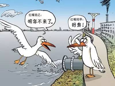 凈水器值得裝嗎?央視是這么說的!