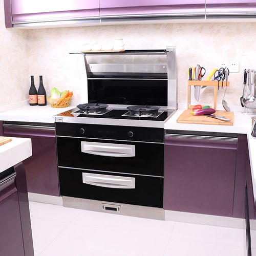 2018集成灶品牌產品圖片大全 集成灶廚房裝修效果圖 十大品牌網