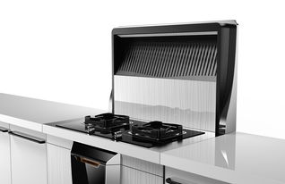 霸帝集成灶 現(xiàn)代廚房的理想之選